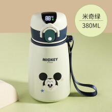 曲靖市迪士尼（Disney）刻字保温杯带吸管冰雪奇缘水杯吸管杯子艾莎女童幼儿园水壶两用 316钢艾莎公主480ml