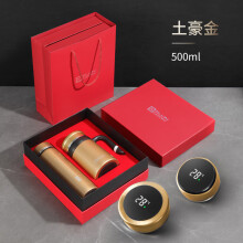无为市爱自由 304不锈钢保温杯带温度显示智能杯男女户带提绳外便携水杯车载测温杯子 青色【测温盖】800ML