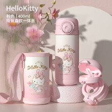 曲靖市Diller迪乐贝尔儿童保温杯 带吸管手柄两用 婴儿保温杯 宝宝水杯 316不锈钢学饮杯 幼儿园水壶 280ML皇冠保温杯白色（杯套+备吸嘴+杯刷）